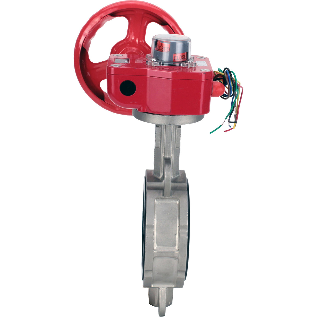 Vanne papillon d'eau Elephant WBV3131N-2W-Fb-H, matériau du corps - Acier inoxydable AISI 304, matériau du disque - Acier inoxydable AISI 304, joint - NBR, réducteur HGBF RQN