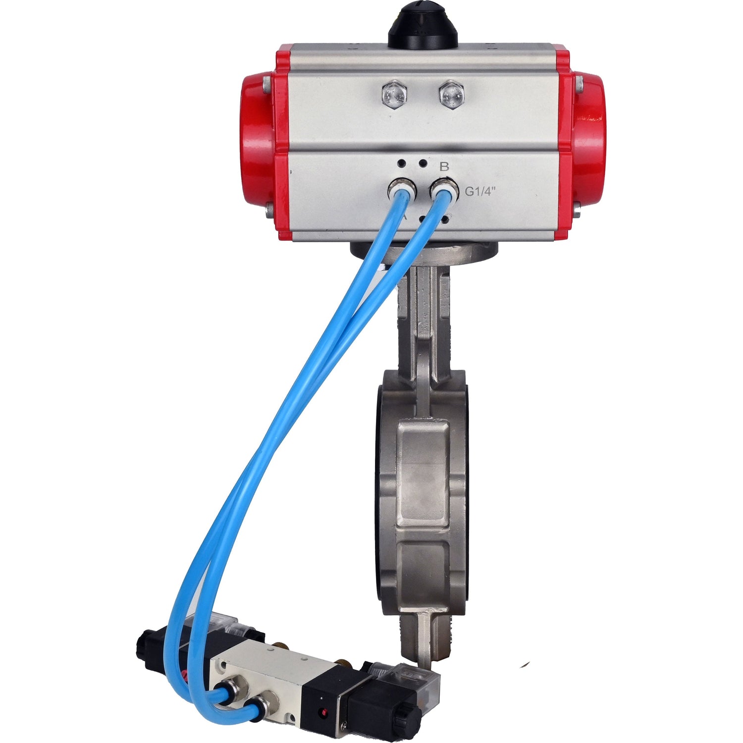 Vanne papillon d'eau Elephant WBV3232V-2W-Fb-H, matériau du corps - acier inoxydable AISI 316L, matériau du disque - acier inoxydable AISI 316L, joint - Viton, avec actionneur pneumatique double effet PA-DA, 4V320-10 220V