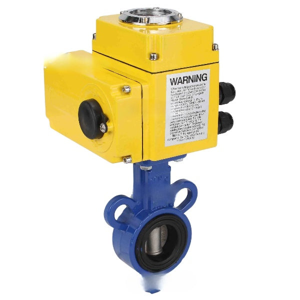 Vanne papillon d'eau Elephant WBV0232E-2W-Fb-H, matériau du corps - alliage d'aluminium, matériau du disque - acier inoxydable AISI 316L, joint - EPDM, actionneur électrique QT-N-хEM-A1 220V