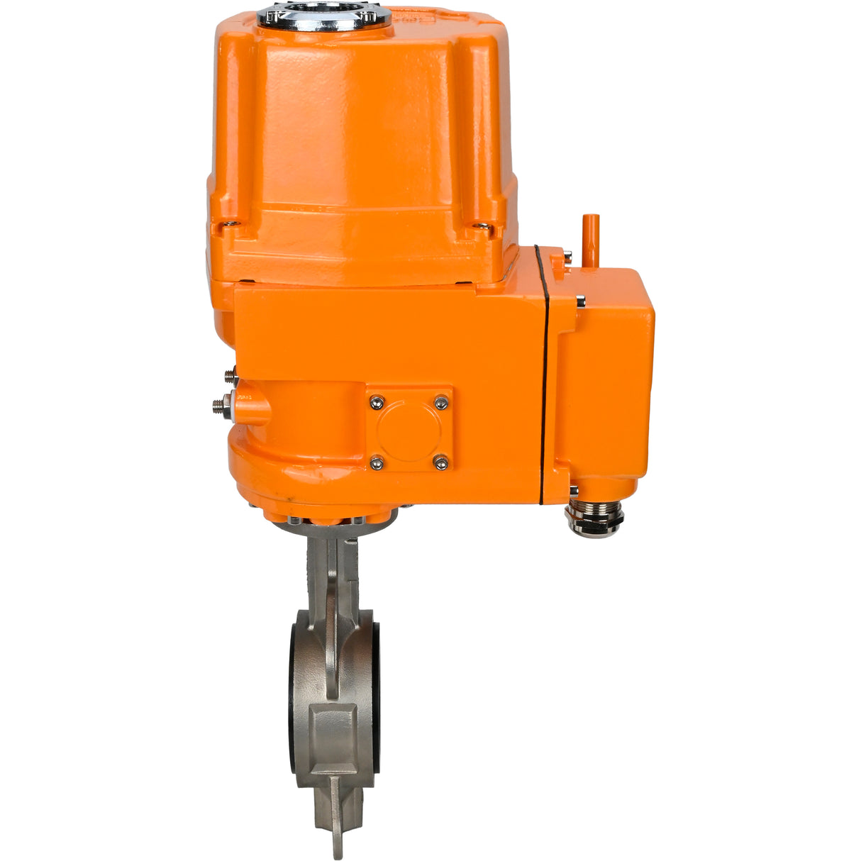 Vanne papillon d'eau Elephant 316l-316l-viton-elephant-ex-24, matériau du corps - acier inoxydable AISI 316L, matériau du disque - acier inoxydable AISI 316L, joint - VITON, commande par actionneur électrique