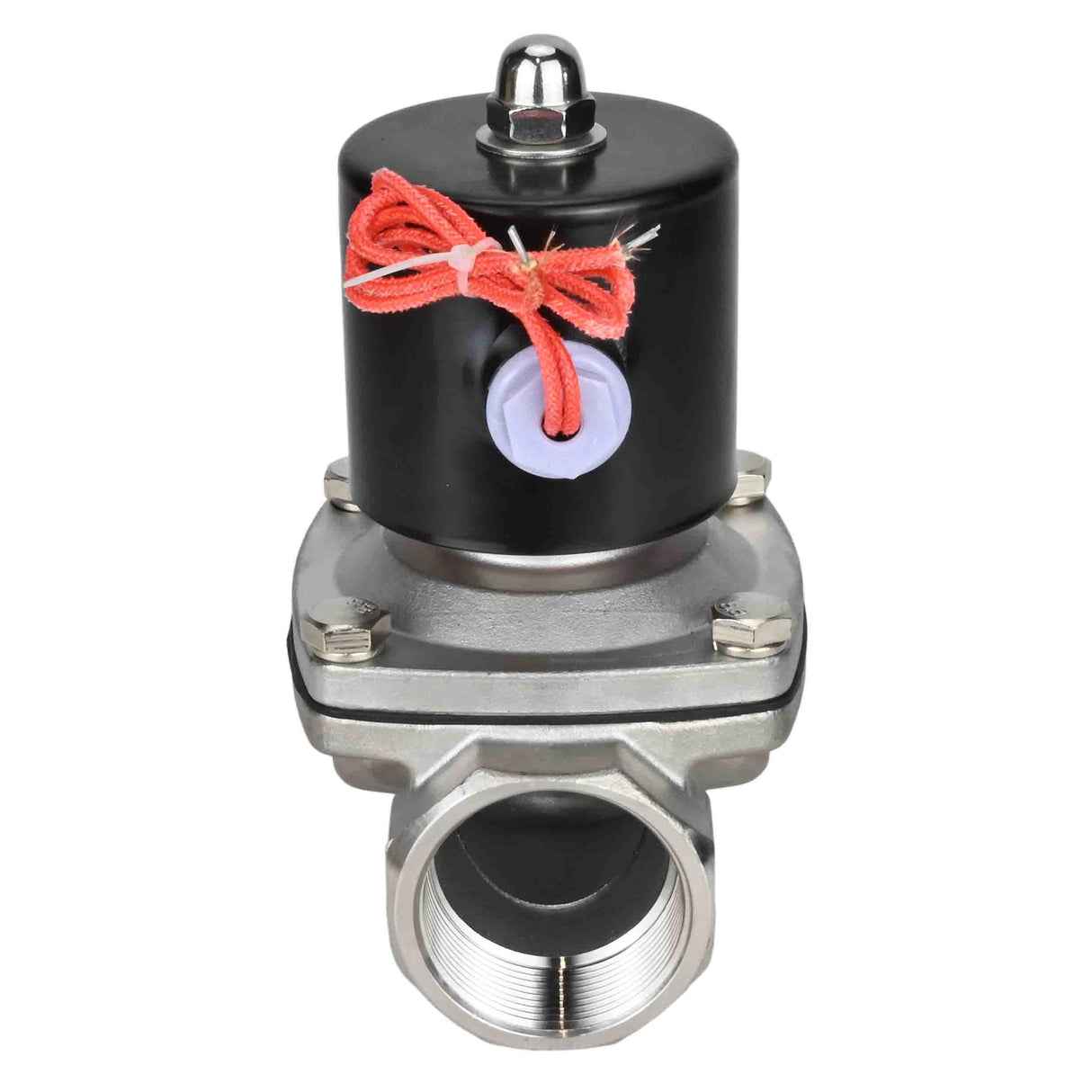 Électrovanne électrique à action directe à deux voies normalement fermée Elephant VS2W-101N-NC NBR 110/220V, matériau du corps - acier inoxydable AISI 304, joint - NBR