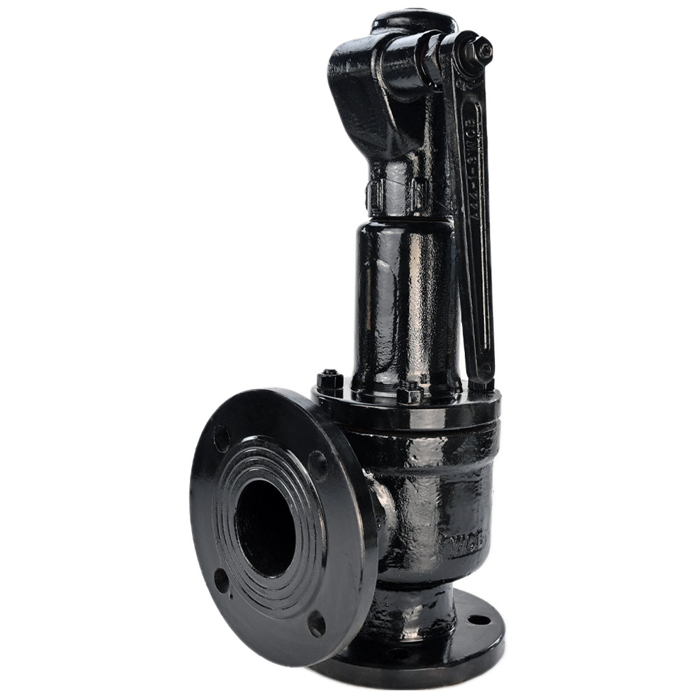 Soupape de sécurité à ressort Elephant SAFE 7011 0,6-1, matériau du corps - acier inoxydable AISI A10, matériau de l'élément de fermeture - acier inoxydable AISI 420, joint - METAL