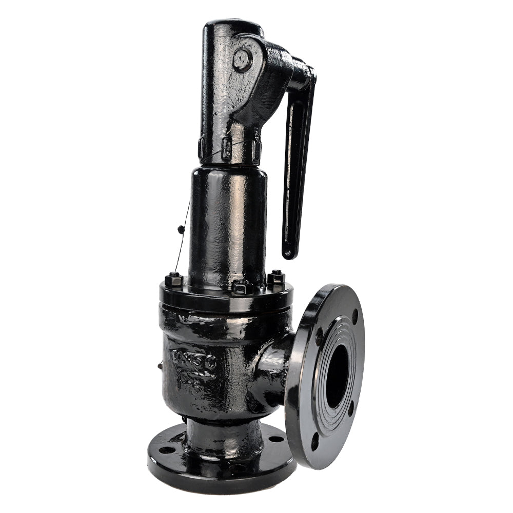 Soupape de sécurité à ressort Elephant SAFE 7011 0,6-1, matériau du corps - acier inoxydable AISI A10, matériau de l'élément de fermeture - acier inoxydable AISI 420, joint - METAL