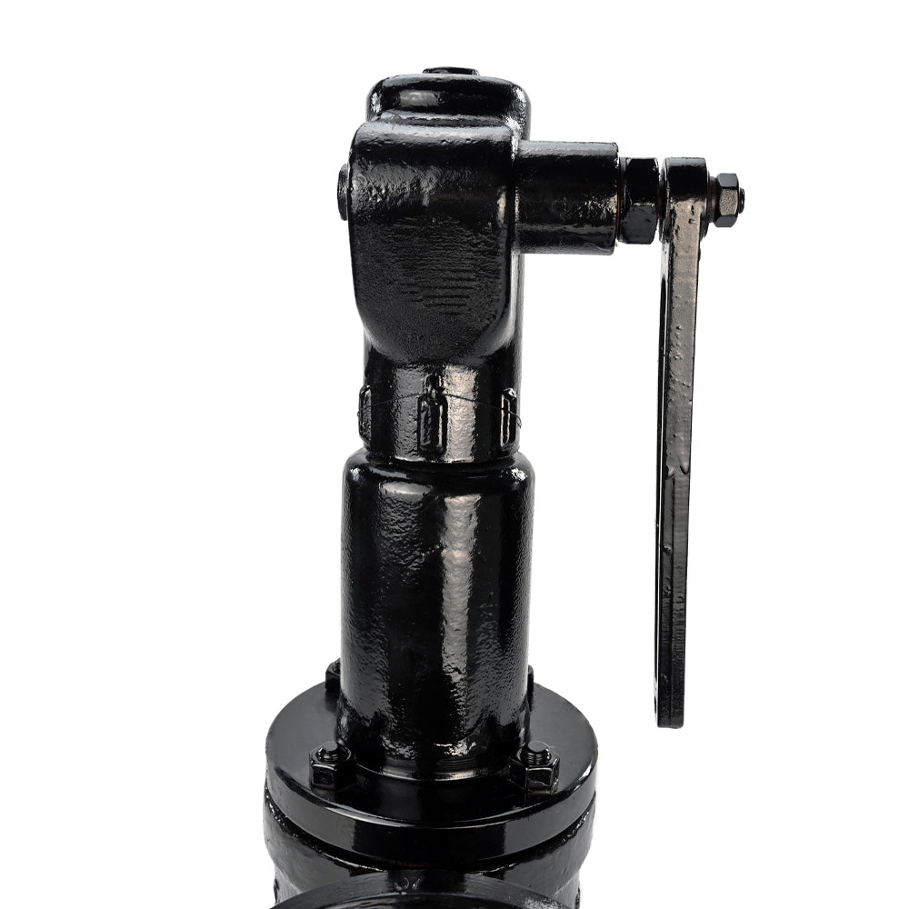 Soupape de sécurité à ressort Elephant SAFE 7011 8-10, matériau du corps - acier inoxydable AISI A10, matériau de l'élément de fermeture - acier inoxydable AISI 420, joint - METAL