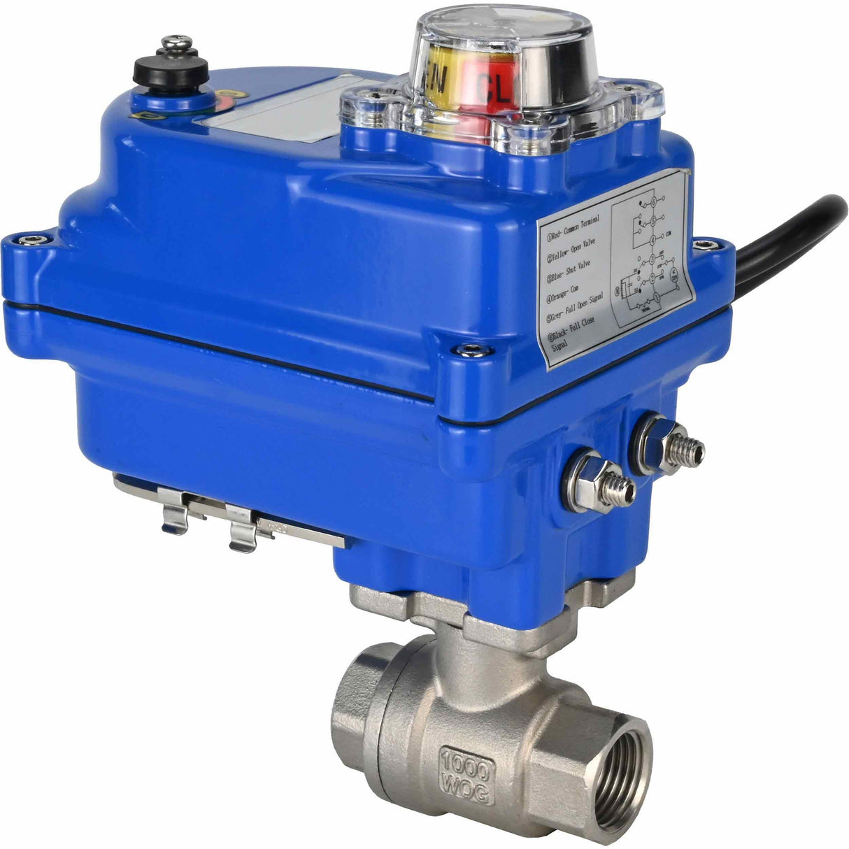Vanne à boisseau sphérique en acier inoxydable Elephant BVMP.316.230-ISO PSI914 SS316 fileté, actionneur électrique quart de tour Elephant 003 bleu 220 V