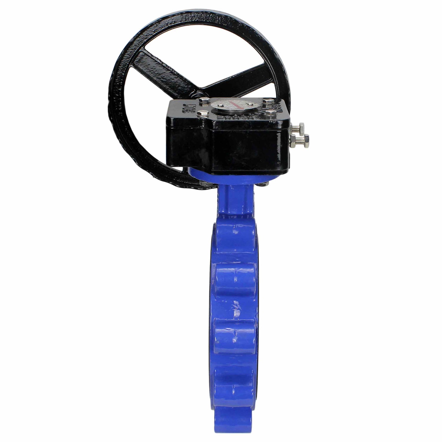 Vanne papillon d'eau Elephant WBV1631E-2W-Fb-R, matériau du corps - fonte QT450, matériau du disque - acier inoxydable AISI 304, joint - EPDM, réducteur