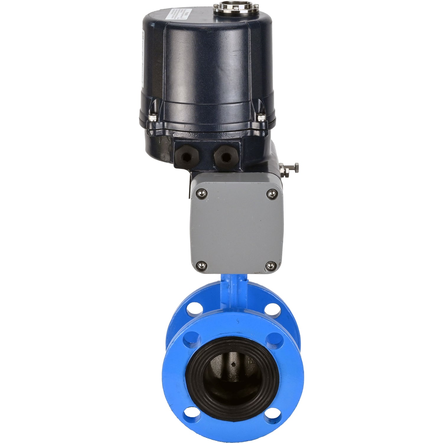 Butterfly valves Elephant WBV1331E-2W-F-H flanged, body - cast iron GGG40, disc - stainless steel 304, seal - EPDM, with electric quarter turn actuator Elephant QTSA-N-EM-O0-220VAC