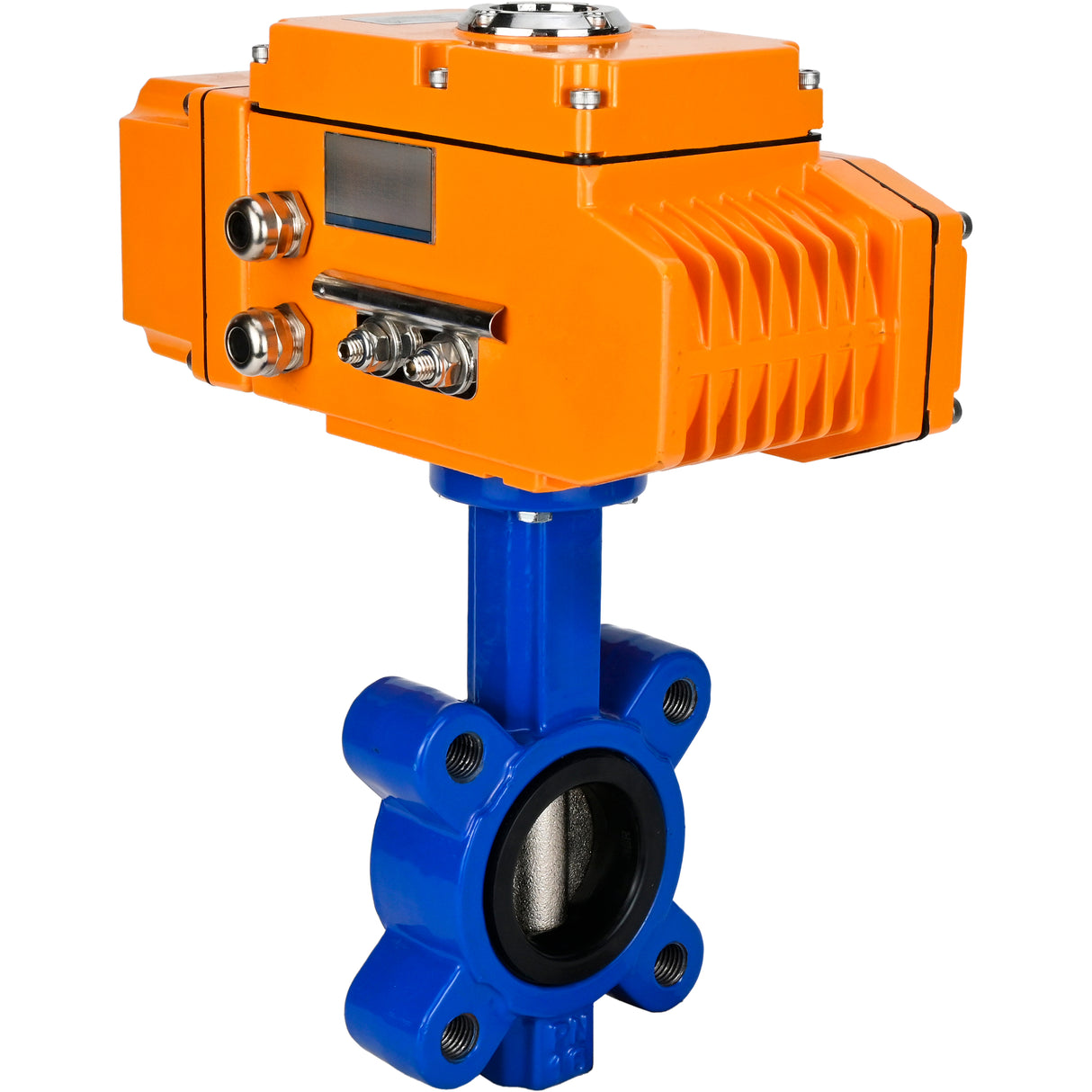 Vanne papillon d'eau Elephant WBV1616E-2W-Fb-H, matériau du corps - fonte QT450, matériau du disque - fonte QT450, joint - EPDM, actionneur électrique QT-N-EM-B1-220VAC-U1 220V