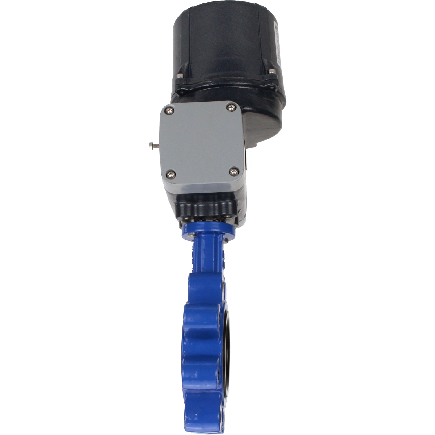 Butterfly valves Elephant WBV1631N-2W-Fb-H LUG interflanged, body - cast iron GGG45/QT450, disc - stainless steel AISI 304, seal - NBR, with electric quarter turn actuator Elephant QTSA-N-EM-O0-220VAC