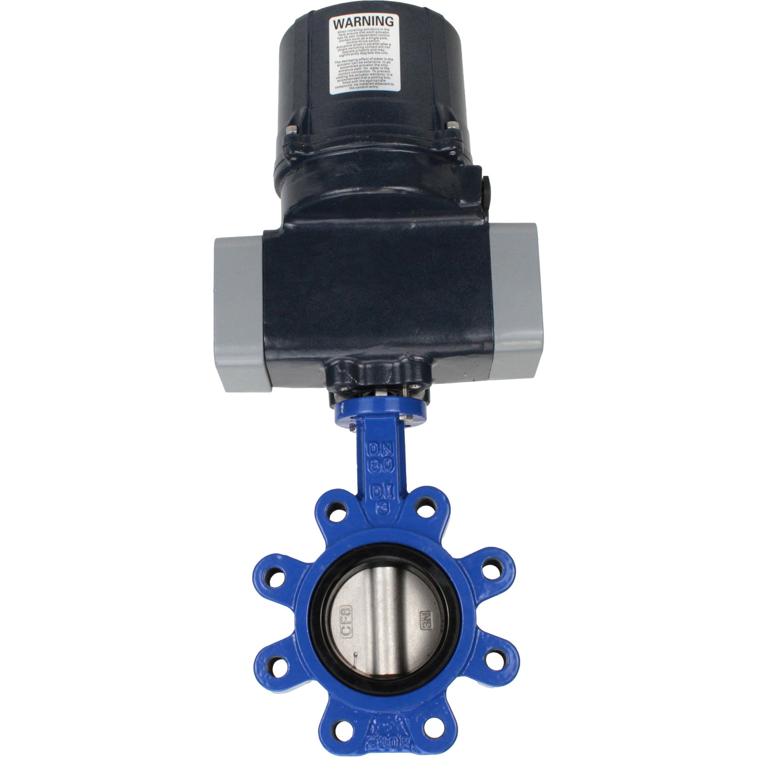 Butterfly valves Elephant WBV1631N-2W-Fb-H LUG interflanged, body - cast iron GGG45/QT450, disc - stainless steel AISI 304, seal - NBR, with electric quarter turn actuator Elephant QTSA-N-EM-O0-220VAC