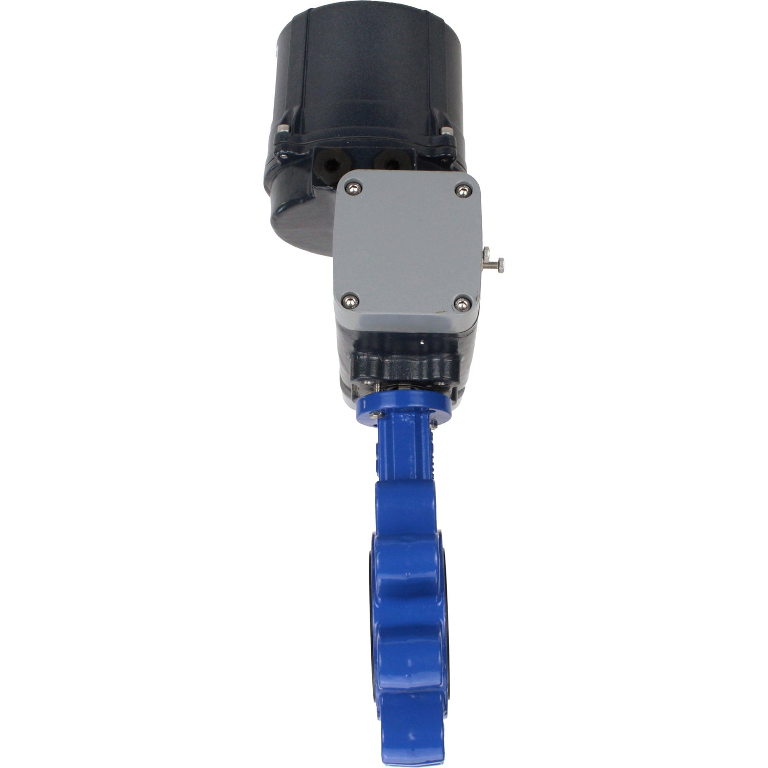 Butterfly valves Elephant WBV1631N-2W-Fb-H LUG interflanged, body - cast iron GGG45/QT450, disc - stainless steel AISI 304, seal - NBR, with electric quarter turn actuator Elephant QTSA-N-EM-O0-220VAC