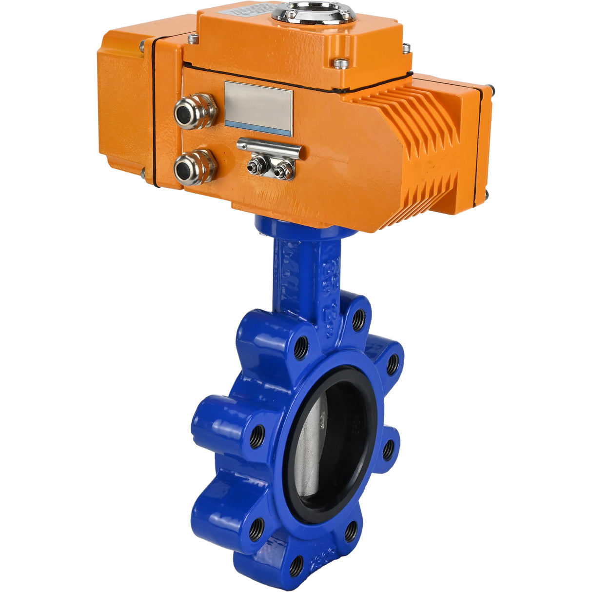 Vanne papillon d'eau Elephant WBV1631N-2W-Fb-H, matériau du corps - fonte QT450, matériau du disque - acier inoxydable AISI 304, joint - NBR, actionneur électrique QT-N-EM-B1-220VAC-U1 220V