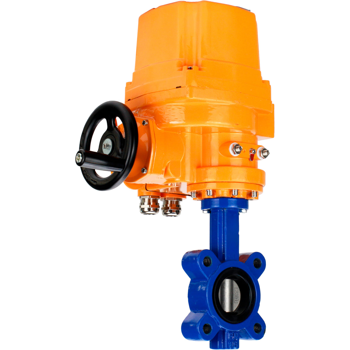 Vanne papillon d'eau Elephant WBV1631N-2W-Fb-H, matériau du corps - fonte QT450, matériau du disque - acier inoxydable AISI 304, joint - NBR, actionneur électrique QT-EX-EM-O1-380VAC-U1 380V