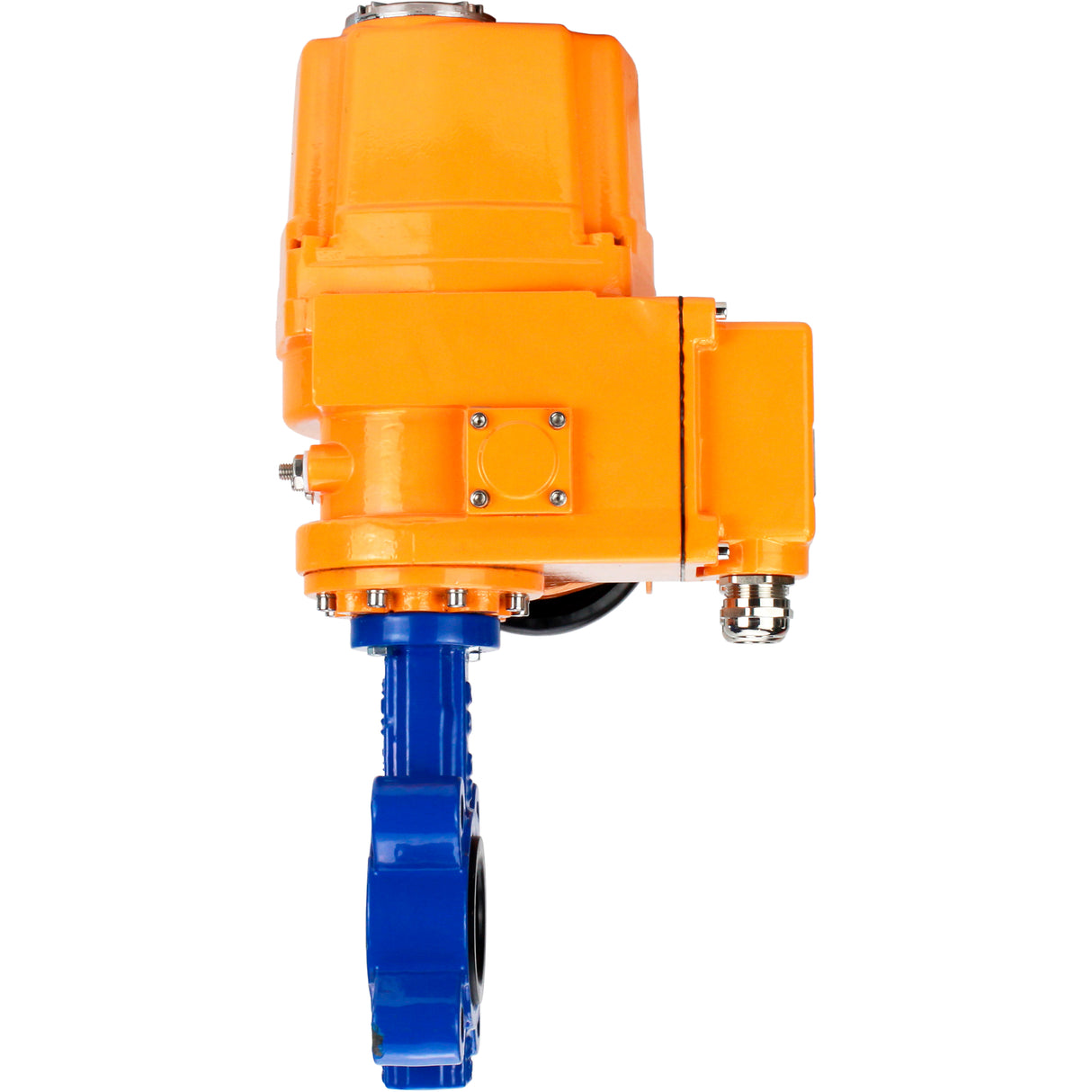 Vanne papillon d'eau Elephant WBV1631N-2W-Fb-H, matériau du corps - fonte QT450, matériau du disque - acier inoxydable AISI 304, joint - NBR, actionneur électrique QT-EX-EM-O1-380VAC-U1 380V