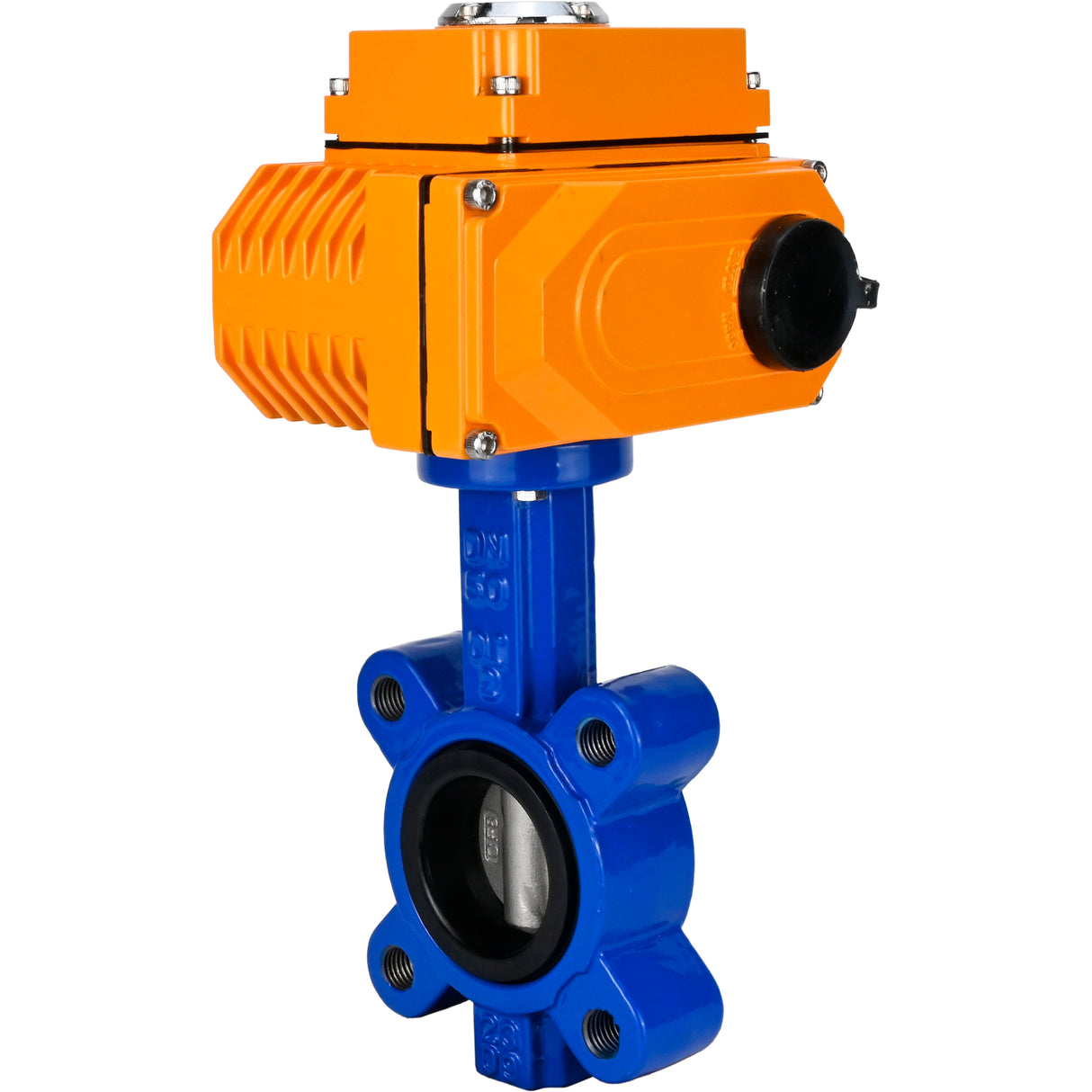 Vanne papillon d'eau Elephant WBV1631E-2W-Fb-H, matériau du corps - fonte QT450, matériau du disque - acier inoxydable AISI 304, joint - EPDM, actionneur électrique QT-N-EM-O1-380VAC-U1 380V