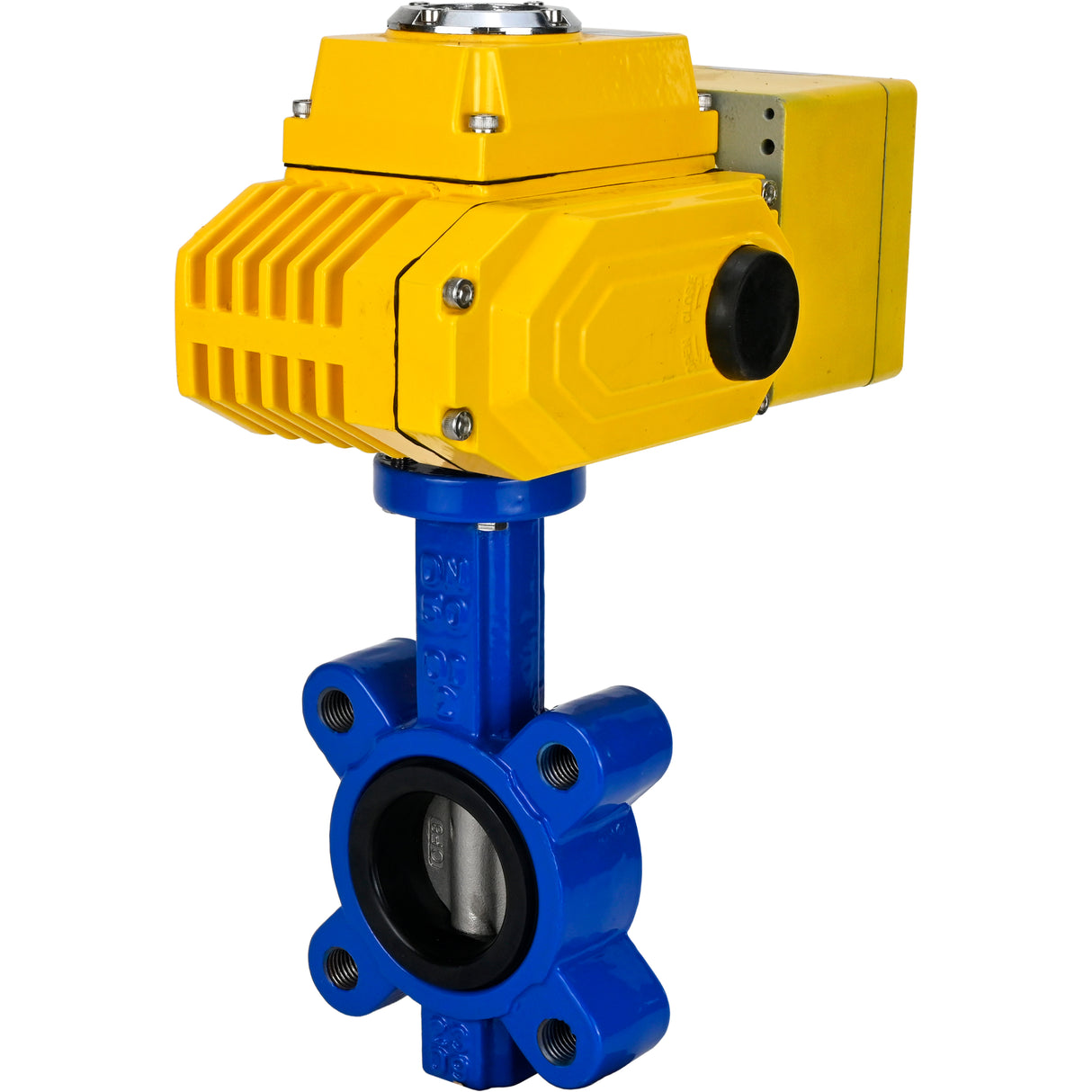 Vanne papillon d'eau Elephant WBV1631E-2W-Fb-H, matériau du corps - fonte QT450, matériau du disque - acier inoxydable AISI 304, joint - EPDM, actionneur électrique QT-N-EM-A1-220VAC-U1 220V