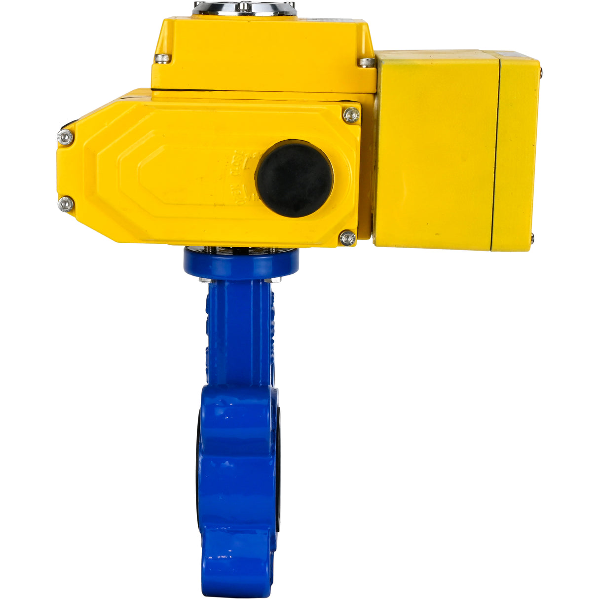 Vanne papillon d'eau Elephant WBV1631E-2W-Fb-H, matériau du corps - fonte QT450, matériau du disque - acier inoxydable AISI 304, joint - EPDM, actionneur électrique QT-N-EM-A1-220VAC-U1 220V