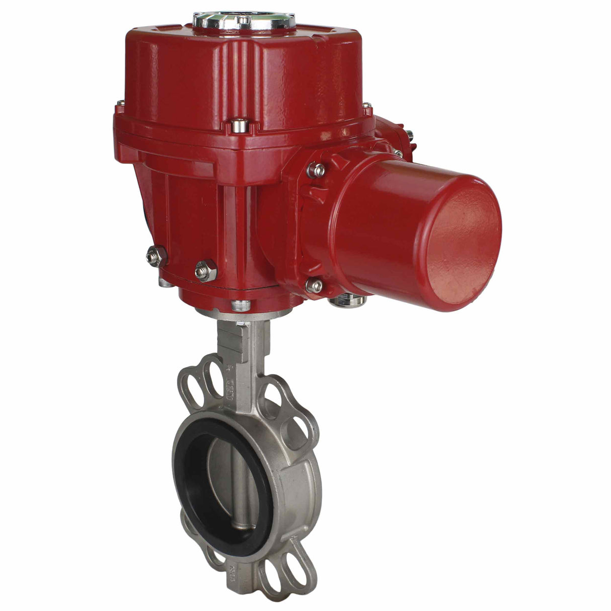 Vanne papillon d'eau Elephant 316l-316l-epdm-elephant-qt-wm-ex-110/220v, matériau du corps - acier inoxydable AISI 316L, matériau du disque - acier inoxydable AISI 316L, joint - EPDM, actionné par actionneur électrique