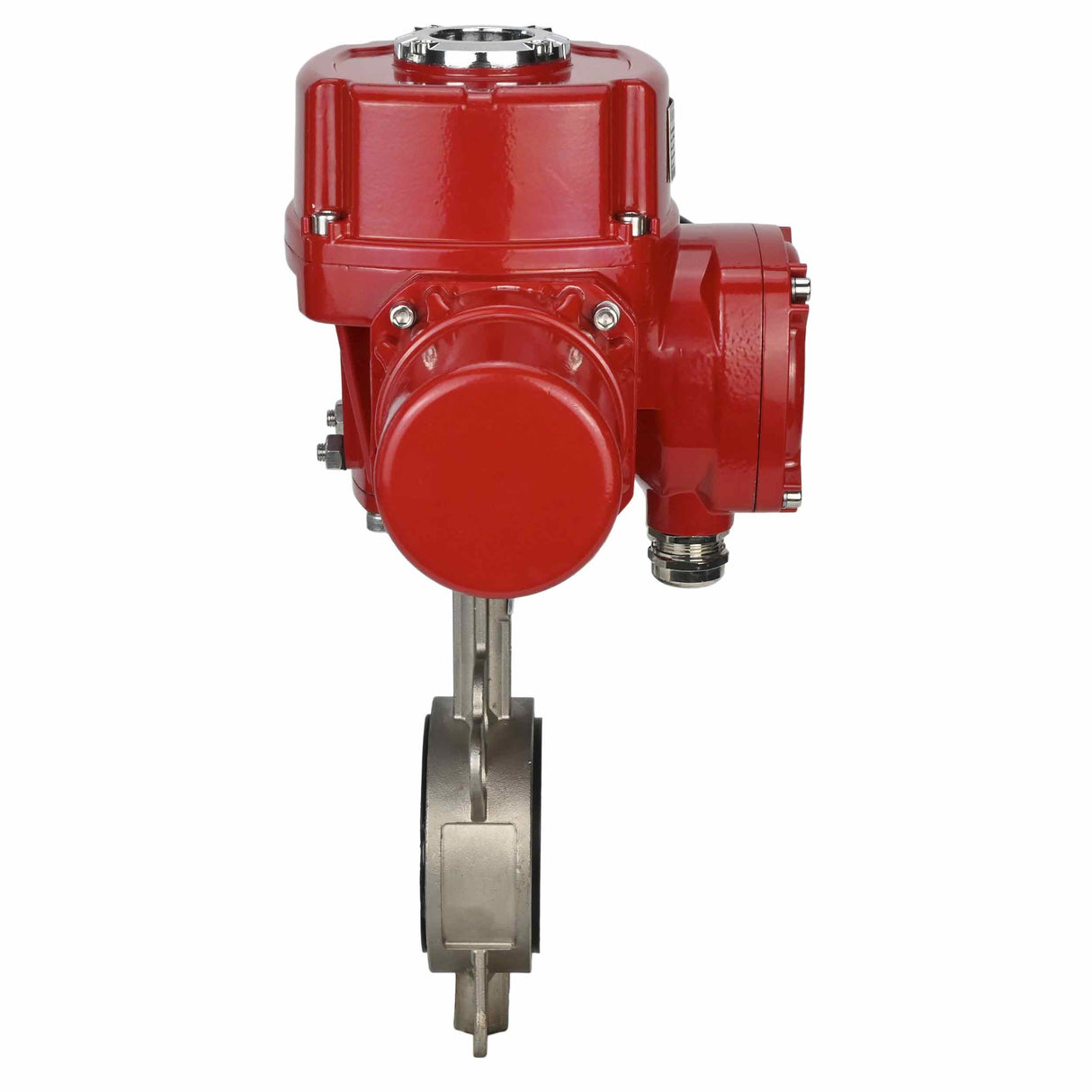 Vanne papillon d'eau Elephant 316L-316L-PTFE matériau du corps - acier inoxydable aisi 316l, matériau du disque - acier inoxydable AISI 316L, joint - PTFE avec actionneur électrique 1/4 de tour Elephant QT-W (M) EX 380V