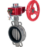 Vanne papillon d'eau Elephant WBV3131N-2W-Fb-H, matériau du corps - Acier inoxydable AISI 304, matériau du disque - Acier inoxydable AISI 304, joint - NBR, réducteur HGBF RQN