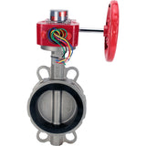 Vanne papillon d'eau Elephant WBV3131N-2W-Fb-H, matériau du corps - Acier inoxydable AISI 304, matériau du disque - Acier inoxydable AISI 304, joint - NBR, réducteur HGBF RQN