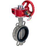 Vanne papillon d'eau Elephant WBV3131N-2W-Fb-H, matériau du corps - Acier inoxydable AISI 304, matériau du disque - Acier inoxydable AISI 304, joint - NBR, réducteur HGBF RQN