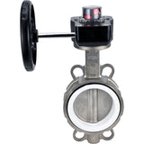 Vanne papillon d'eau Elephant 316L-PTFE-HGB, matériau du corps - acier inoxydable AISI 316L, matériau du disque - acier inoxydable AISI 316L, joint - PTFE, à engrenage