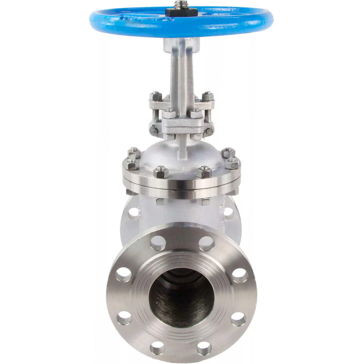 Vanne à opercule Elephant 30yg64yg GAIR GVWR3131M-2W-FS, matériau du corps - acier inoxydable AISI 304, matériau de l'opercule - acier inoxydable AISI 304, joint - métal, volant