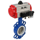 Vanne papillon d'eau Elephant st-316l-ptfe-da-4m310-110/220, matériau du corps - acier au carbone WCB, matériau du disque - acier inoxydable AISI 316L, joint - PTFE, actionnement par actionneur pneumatique