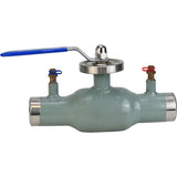 Vannes à boisseau sphérique de contrôle Elephant BVR3232P(1pc)-SP-WH en acier inoxydable 316, alésage standard, soudées, avec poignée, avec embouts