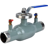 Vannes à boisseau sphérique de contrôle Elephant BVR3232P(1pc)-SP-WH en acier inoxydable 316, alésage standard, soudées, avec poignée, avec embouts