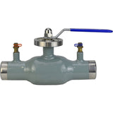 Vannes à boisseau sphérique de contrôle Elephant BVR3232P(1pc)-SP-WH en acier inoxydable 316, alésage standard, soudées, avec poignée, avec embouts