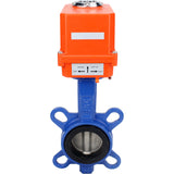 Vanne papillon d'eau Elephant GGG50-316L-EPDM matériau du corps - fonte GGG50, matériau du disque - acier inoxydable 316L, joint - EPDM avec actionneur électrique Elephant 220V