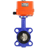Vanne papillon d'eau Elephant gg25-316l-nbr-elephant-110/220v, matériau du corps - fonte GG25, matériau du disque - acier inoxydable AISI 316L, joint - NBR, actionné par actionneur électrique