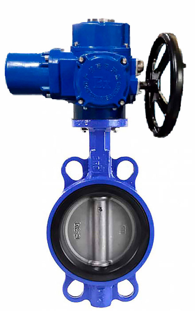 Vanne papillon d'eau Elephant gg25-316l-nbr-elephant-qt-wm-110/220v, matériau du corps - fonte GG25, matériau du disque - acier inoxydable AISI 316L, joint - NBR, actionné par actionneur électrique