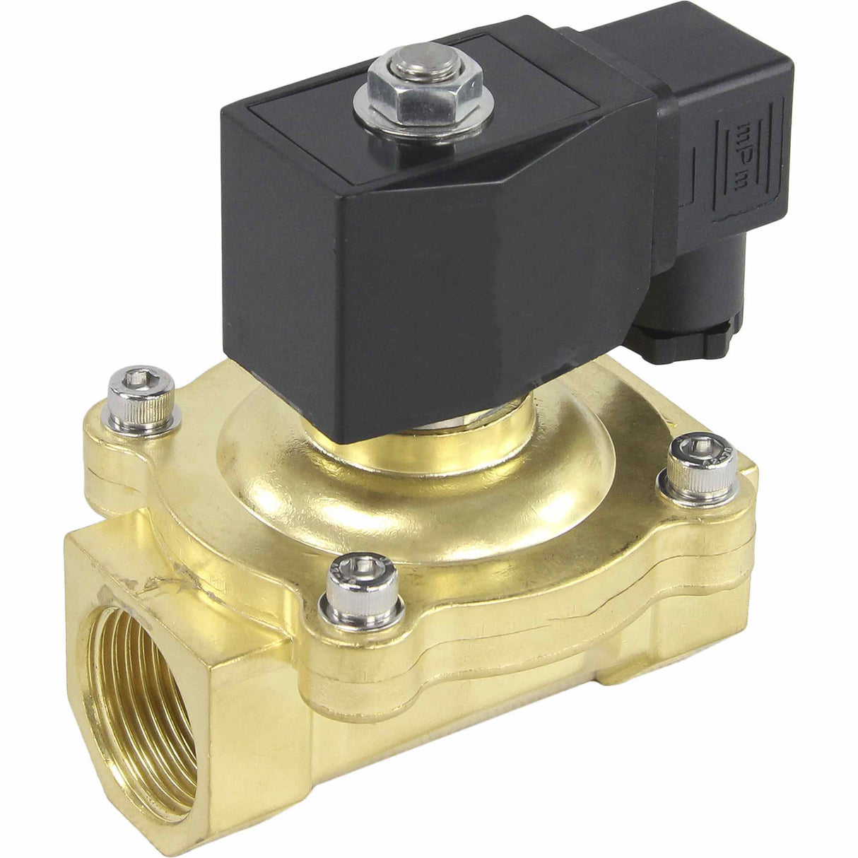 Électrovanne électrique à action directe à deux voies normalement fermée Elephant VS2W-200N-NC NBR 24V, matériau du corps - laiton, joint - NBR