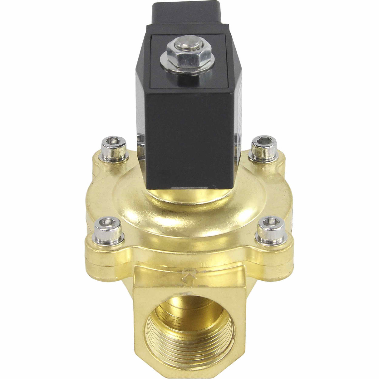 Électrovanne électrique à action directe à deux voies normalement fermée Elephant VS2W-200N-NC NBR 24V, matériau du corps - laiton, joint - NBR