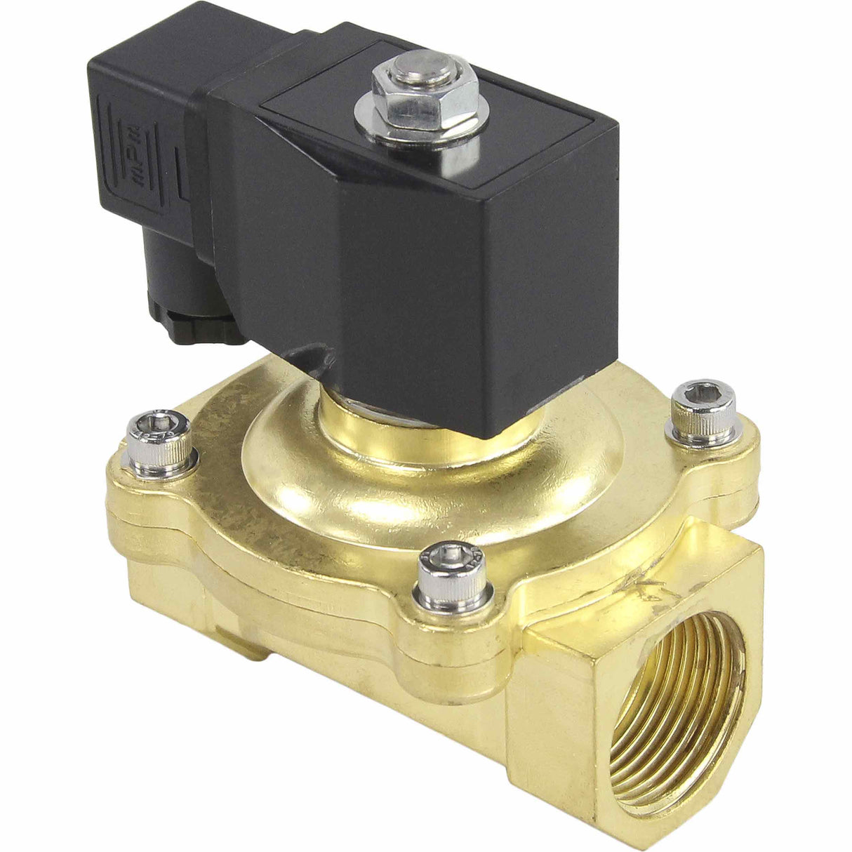 Électrovanne électrique à action directe à deux voies normalement fermée Elephant VS2W-200N-NC NBR 24V, matériau du corps - laiton, joint - NBR