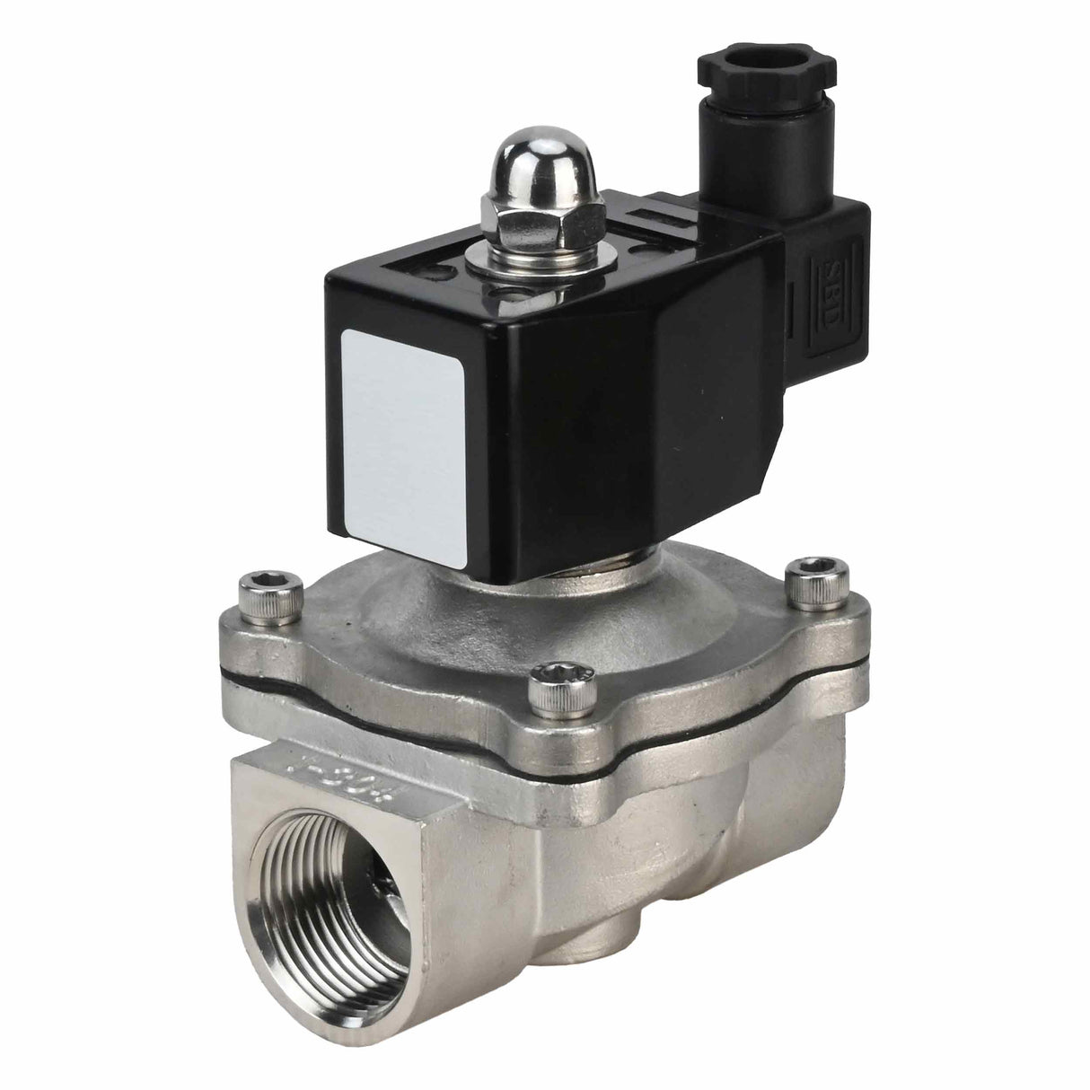 Électrovanne électrique à action directe à deux voies normalement fermée Elephant VS2W-301E-NC EPDM 110/220V, matériau du corps - acier inoxydable AISI 304, joint - EPDM