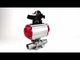 Vannes à boisseau sphérique Elephant BV3232P(3pc)-FP-W-ISO-H LONG DN10-150 passage intégral, corps - acier inoxydable 316, soudé, avec actionneur pneumatique Elephant PA-DA et bloc de fin de course APL-210N