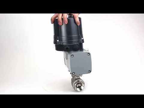 Ball valves Elephant BV3232P(2pc)-FP-T-ISO-H full bore, threaded, female thread, body - 316 stainless steel, sealing - PTFE, with electric quarter turn actuator Elephant QTSA-N-EM-O0-220VAC
