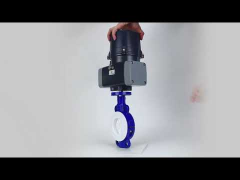 Butterfly valves Elephant WBV3434Pf-2W-Fb-H lined interflanged, body - carbon steel WCB, disc - carbon steel WCB, seal - PTFE, with electric quarter turn actuator Elephant QTSA-N-EM-O0-220VAC
