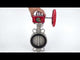 Vanne papillon d'eau Elephant WBV3131N-2W-Fb-H, matériau du corps - Acier inoxydable AISI 304, matériau du disque - Acier inoxydable AISI 304, joint - NBR, réducteur HGBF RQN