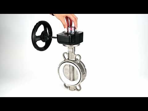 Vanne papillon d'eau Elephant 316L-PTFE-HGB, matériau du corps - acier inoxydable AISI 316L, matériau du disque - acier inoxydable AISI 316L, joint - PTFE, à engrenage