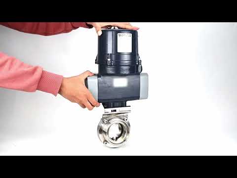 Butterfly valves Elephant WBV3131E-2W-T-H threaded, body - food grade stainless steel AISI 304, disc - stainless steel AISI 304, seal - EPDM, with electric quarter turn actuator Elephant QTSA-N-EM-O0-220VAC