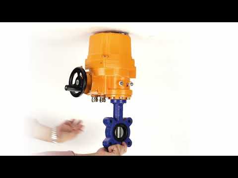 Vanne papillon d'eau Elephant WBV1631N-2W-Fb-H, matériau du corps - fonte QT450, matériau du disque - acier inoxydable AISI 304, joint - NBR, actionneur électrique QT-EX-EM-O1-380VAC-U1 380V