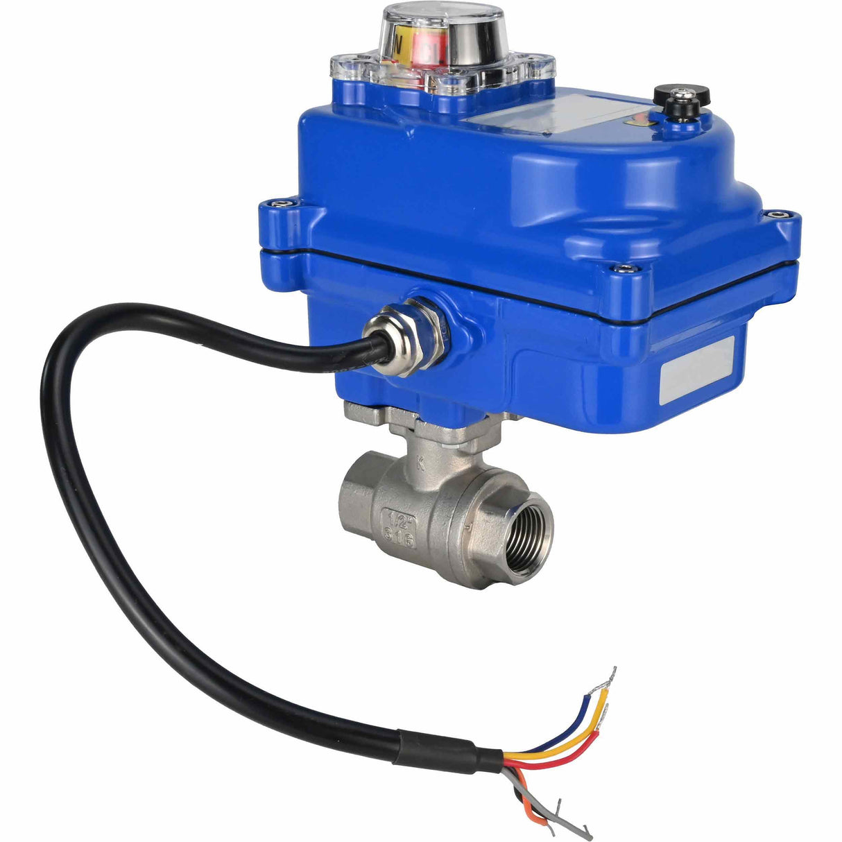 Vanne à boisseau sphérique en acier inoxydable Elephant BVMP.316.230-ISO PSI914 SS316 fileté, actionneur électrique quart de tour Elephant 003 bleu 24 V