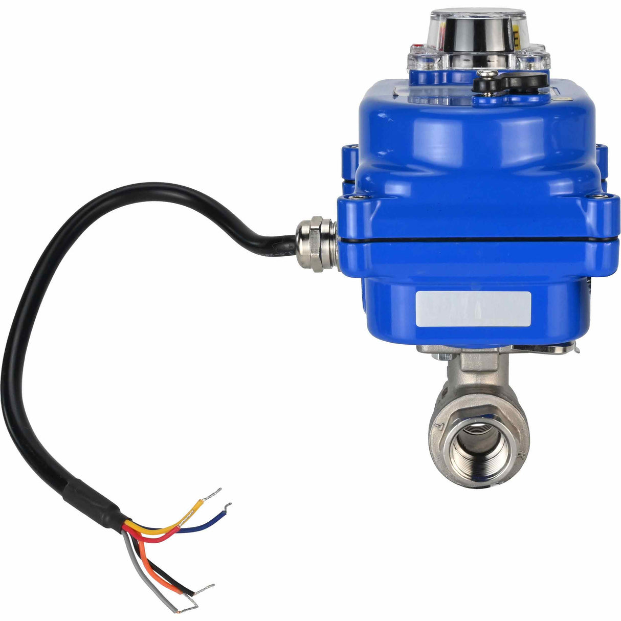 Vanne à boisseau sphérique en acier inoxydable Elephant BVMP.316.230-ISO PSI914 SS316 fileté, actionneur électrique quart de tour Elephant 003 bleu 24 V