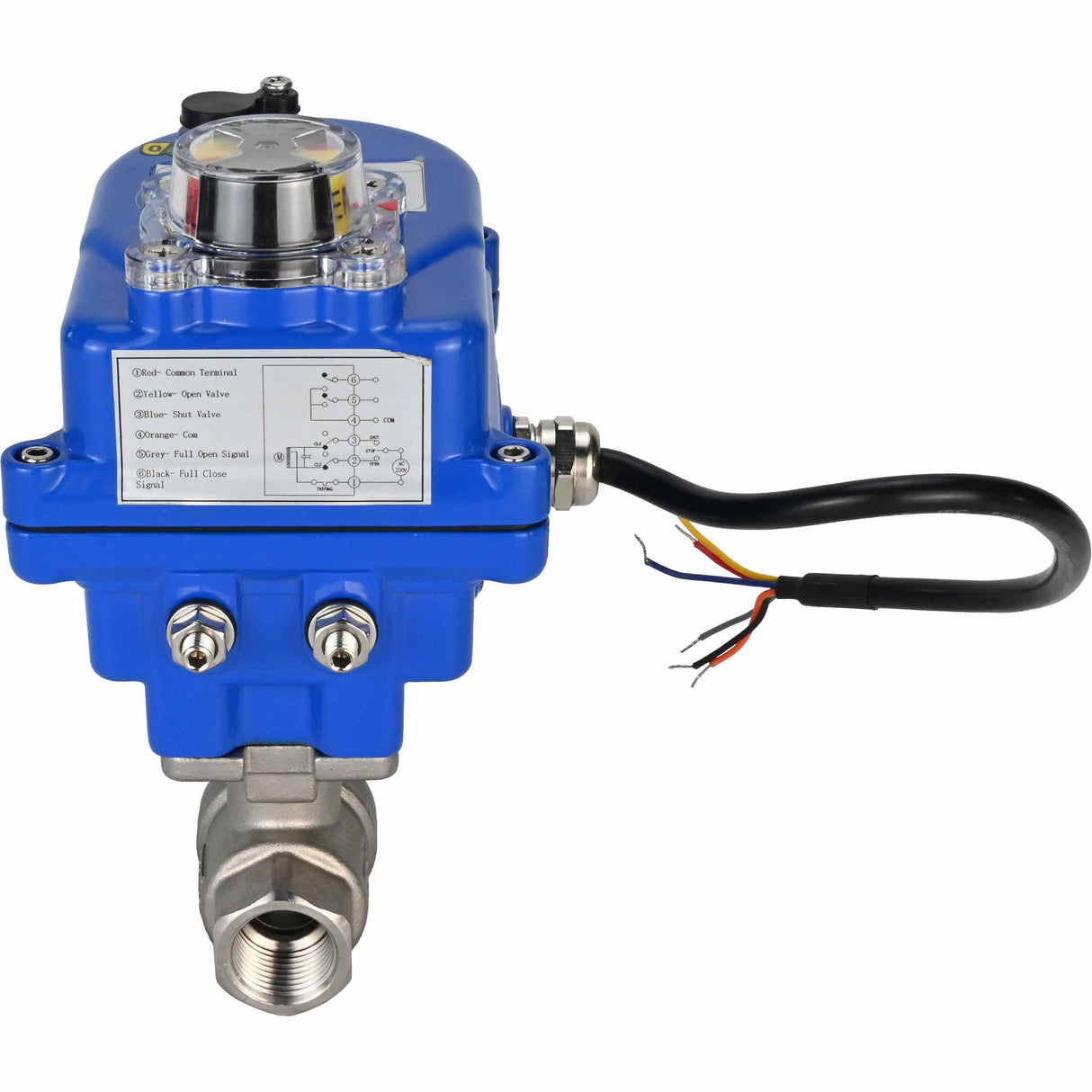 Vanne à boisseau sphérique en acier inoxydable Elephant BVMP.316.230-ISO PSI914 SS316 fileté, actionneur électrique quart de tour Elephant 003 bleu 24 V