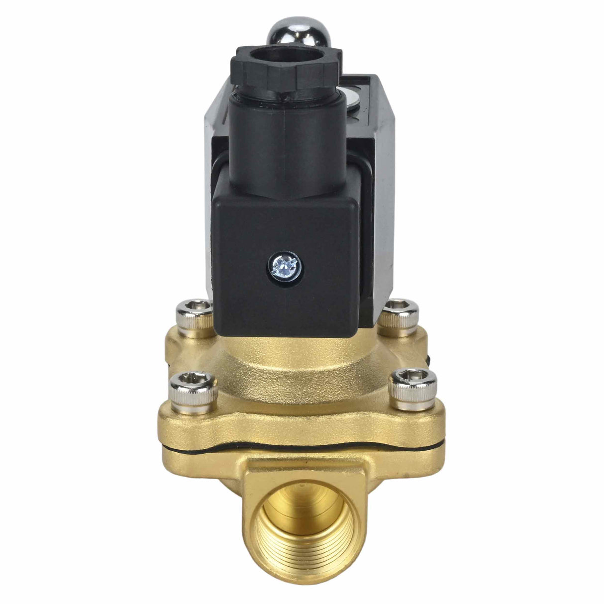 Électrovanne électrique à action directe à deux voies normalement fermée Elephant VS2W-300N-NC NBR 24V, matériau du corps - laiton, joint - NBR